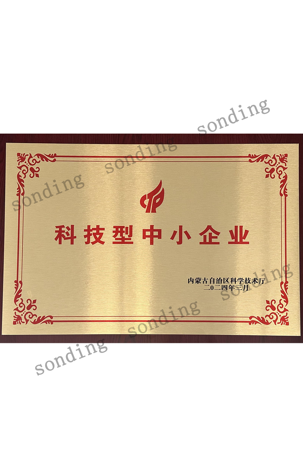 科技型中小企业